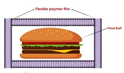 Biodegradable Hydroxypropyl Methyl Cellulose/Poly (Vinyl alcohol) Blend Membranes as Oxygen Barriers and their Application in Processed Food Packaging