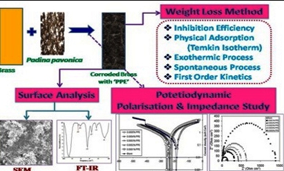 Padina Pavonica Extract as a Green Inhibitor for Brass Corrosion in 0.1 N H3PO4 Solutions