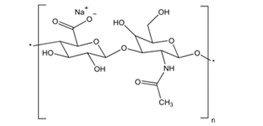 Novel Hyaluronic Acid Based Nucleic Acid Delivery System