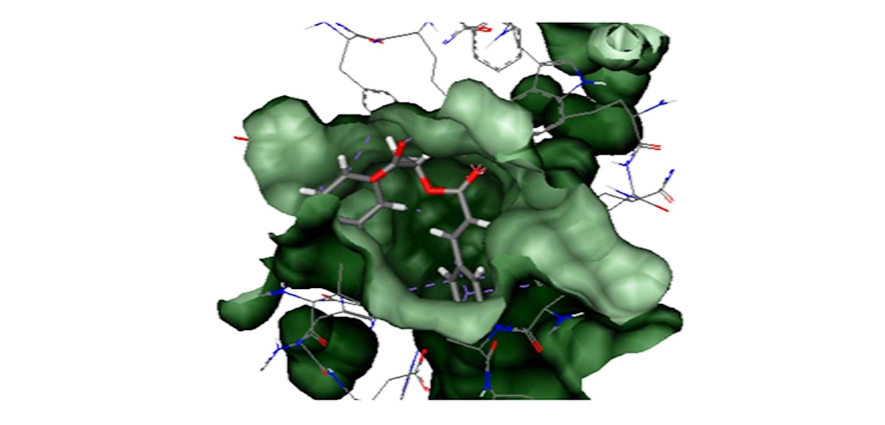 Identification of Potent Angiotensin Converting Enzyme 2 Inhibitors through Virtual Screening and Structure-Based Pharmacophore Design