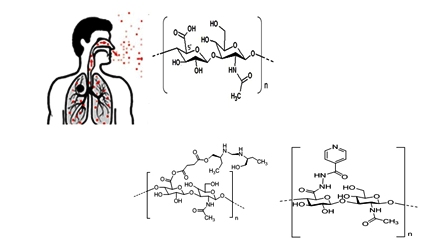 Hyaluronic Acid – TB Drug Conjugates For the Treatment of Active Tuberculosis Disease 