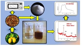 Synthesis and Characterization of Silver Nanoparticles using Green Route