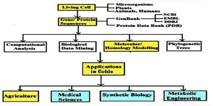 Biological Databases and Resources: Their Engineering and Applications in Synthetic Biology