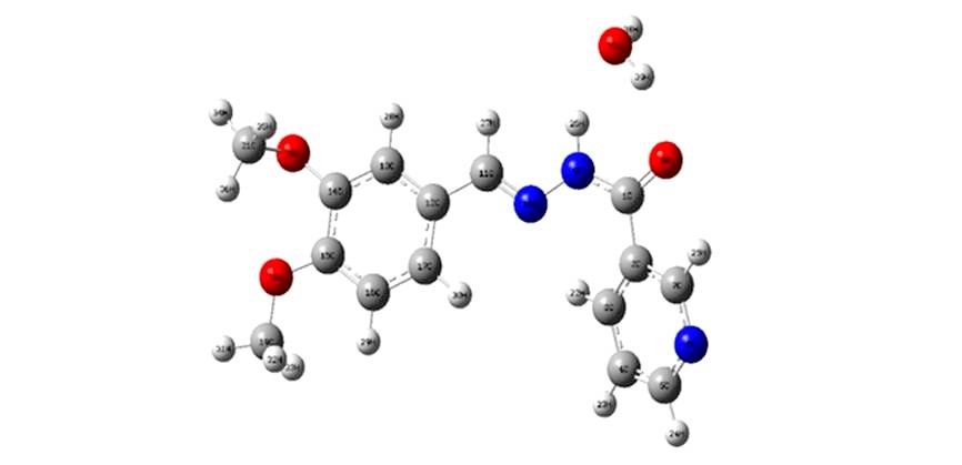 Synthesis, Molecular Structure and Quantum Chemical Computational Interpretations on (E)-Nâ€™- (3, 4-Dimethoxy benzylidene)-Nicotinohydrazide Monohydrate by DFT-B3LYP and M02-2X level of Calculations; A Comparative Study