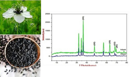 Synthesis and Characterization of Pure and Capped Zinc Oxide Nanoparticles Using Nigella Sativa