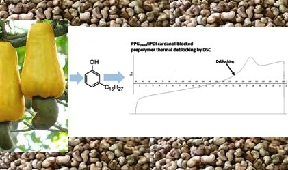 Evaluation of Cashew Nut Shell Liquid Derived Isocyanate Blocking Agents