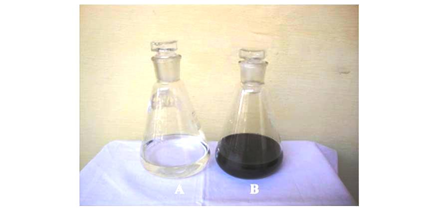 Green synthesis of Silver Nanoparticles using leaf extracts of common weeds: A case study from Lantana camera L. and Leucas aspera (Willd.) Link.