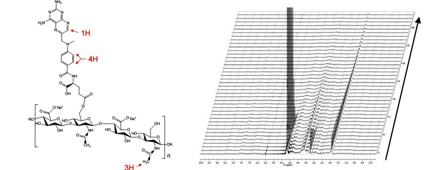NMR Diffusion Studies on the Binding of Hyaluronate - Methotrexate Conjugates with Bovine Serum Albumin in Aqueous Solution