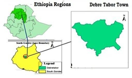 CBR Predictive Model Development from Soil Index and Compaction Properties in case of Fine-Grained Soils  of Debre â€“Tabor City, Ethiopia