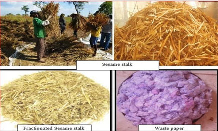 Briquetting of Sesame Stalk using Waste Paper as Binding Agent to Replace Petcoke