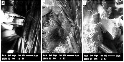  Influence of Fiber Surface Modifications on Fiber-Matrix Interaction in Plant and Waste Fiber Reinforced Thermoplastic Composites
