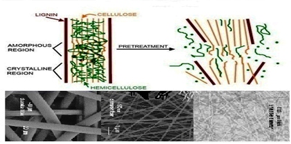 A Review on Emerging Advancements of Nanocellulose and Production Process in Food Packaging Applications 
