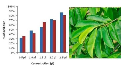In-Vitro Antioxidant, Antibacterial and Anticancer properties of Leaf Extract Annona Muricata 