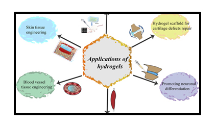 Hydrogels for Textile Applications - Review