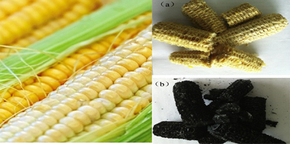 Analysis of Wastewater Treatment using Corncob-Activated Charcoal