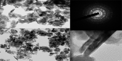 Phytogenic Fabrication of ZnO Nanoparticles Using Aerva persica (Burm.f.) Merr.: Assessment of Antioxidant, Anti-Diabetic and Antimicrobial Efficacy