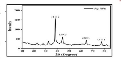 Soapnut Mediated Silver Nanoparticles for Enhanced Metal Ion Sensing and Antibacterial Action
