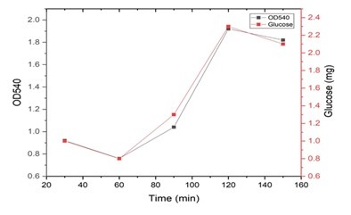 Biowaste-Based Optimization of Amylase Production from Bacillus subtilis: A Sustainable Approach