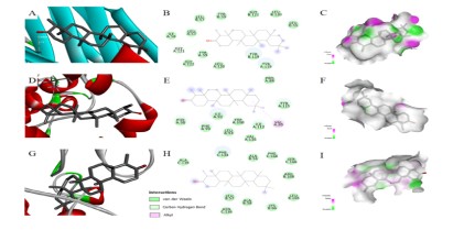 Integrated Phytochemical and In Silico Analysis of Hydnocarpus alpinus for Potential Anti-inflammatory Activity in Rheumatoid Arthritis