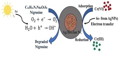 Removal of Chromium (VI) and Nigrosine Dye Employing Silver Nanoparticles Embedded in Biochar