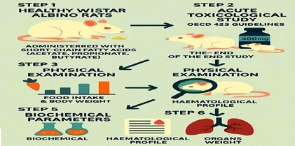 Acute and Sub-Acute Toxicological Study of Short Chain  Fatty Acids (SCFAs) in Rats