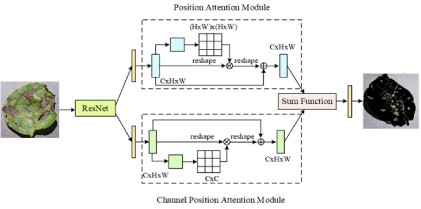 Hybrid Morphological U-Net with a Spectral Morphological Transformer for Superior Plant Leaf Diseases Classification