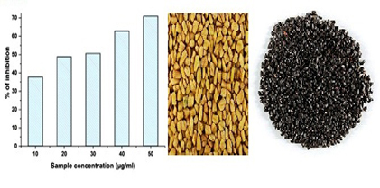 Characterization and Molecular Docking Study of Biodegradable Thin Films Synthesized from Basil and Fenugreek Seeds Mucilage for Anti-diabetic Activity 