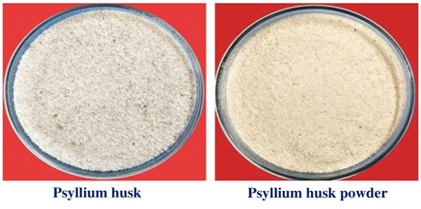 Enzyme Treated Cellulosic Polymer of Psyllium husk for the Preparation of Yoghurt and Dessert Production by using Lactobacillus sp.