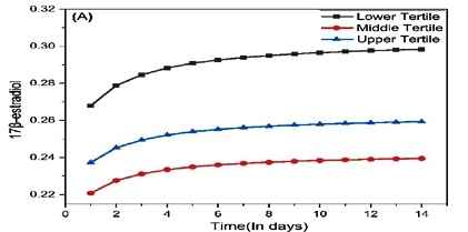 Unveiling Hormonal Patterns: Modeling Degradation Dynamics of 17β-Estradiol and Progesterone in Parous and Nulliparous Women