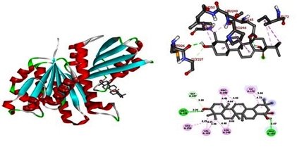  Exploration and Validation of Antimicrobial Phytocompounds for Multi-Drug Resistance from Eclipta alba through                   In Vitro and In Silico Approaches