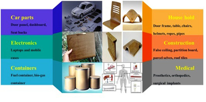 Natural Fibers Reinforced Polymer Composite: Focus on Mechanical, Tribological and Biodegradable Properties