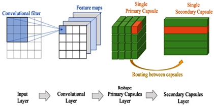 Enhancing Security Using Deep Learning Based Capsule Neural Networks (CAPSNETS) with Enhanced Animal Migration Algorithm (EAMO) In Wireless Sensor Network