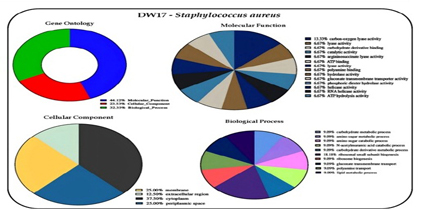 Proteomics Approach Revealing Molecular Mechanism behind the Antibacterial Activity of Terminalia chebula in Staphylococcus aureus