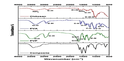 Enhancing Biological Activities of Chitosan/PVP Crosslinked Hydrogel Cube in Aqueous Solution
