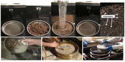 Influence of Soil Physico-Mineralogical Characteristics on Hydrological Processes in a Semi-Arid Hard Rock Terrain from Bennihalla Basin-Karnataka