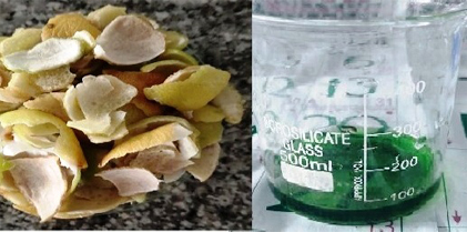 Bioethanol Production from Citrus Peel Waste in the absence of D-Limonene