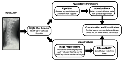 CervNet: A Novel Multimodal Neural Network to Diagnose Cervical Spondylosis from X-Ray Images