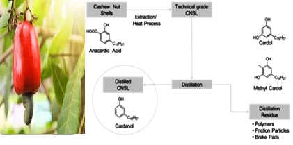 Cashew Nutshell Liquid-Derived Cyclohexene: a Novel Versatile Bio-Based Monomer