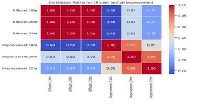 Advanced Multi-Stage Reactor Design for Optimized Wastewater Treatment Using PVA Gel Beads and Pumice Stones: A Hybrid Bioreactor Approach