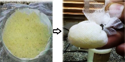 Study of some factors on the Starch Hydrolysis using Bundles of Immobilized Amylase