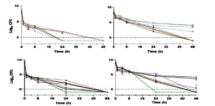 Analysis of Drug Tolerance in Ocular Pseudomonas aeruginosa Isolates