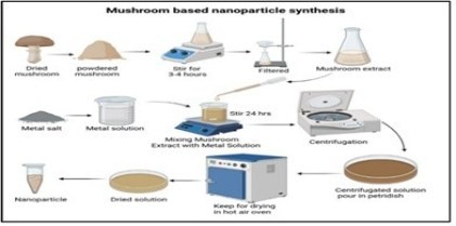 A Review on Myco-Synthesized Nanoparticles as  Natural Nanomedicine: Exploring Antimicrobial and Anticancer Potentials