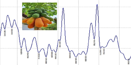 Experimental Investigation on Influence of Solvents on Extracts from Carica Papaya for Potential use in Textile Coloration using Infrared Spectroscopy