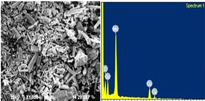 Synthesis of CuMoO4 Nanostructures Using Tridax Procumbens Leaf Extract: Enhanced Crystal Violet (CV) as Anionic Dye Degradation